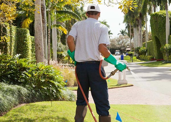 About Belleville KS Pest Control